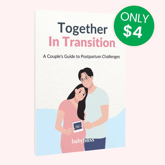 Together in Transition A Couple's Guide to Postpartum Challenges